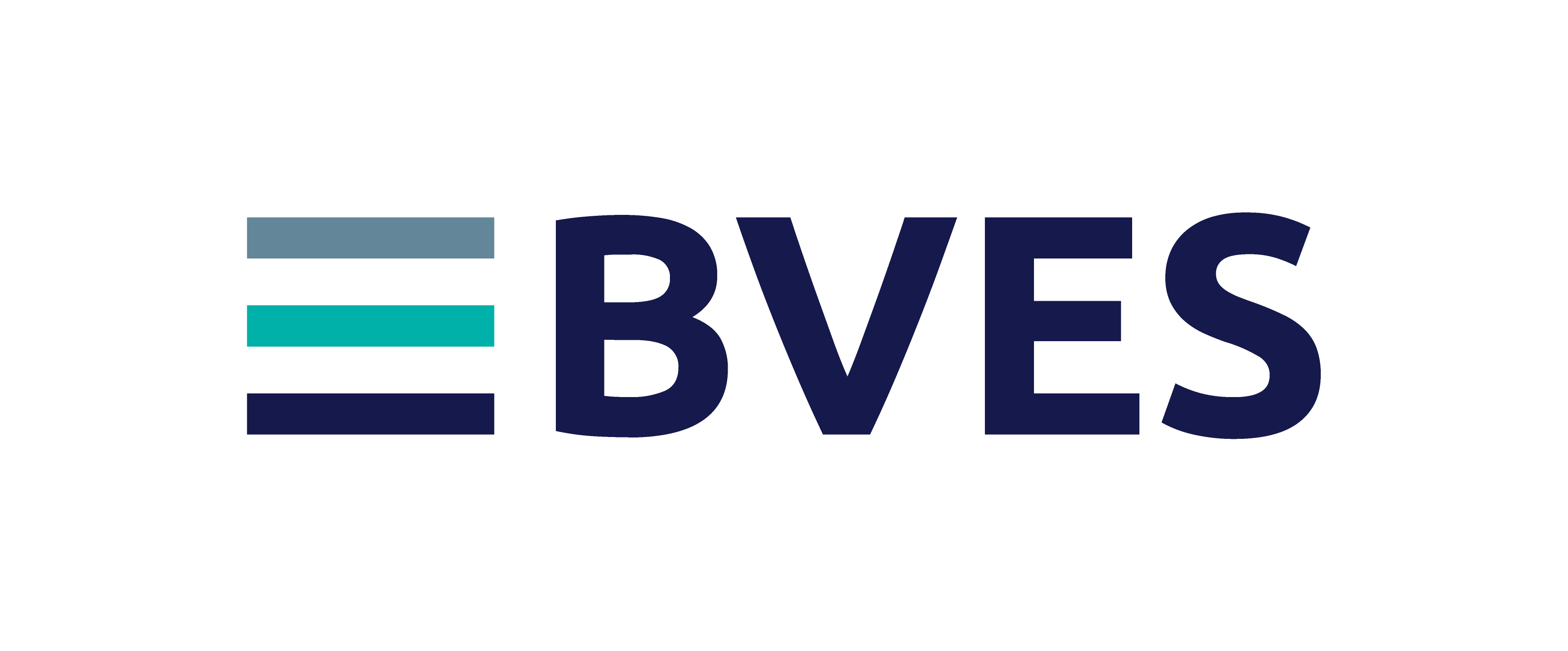 Logo BVES